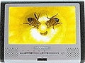 DVD-проигрыватель Phantom SDV 17-SQF